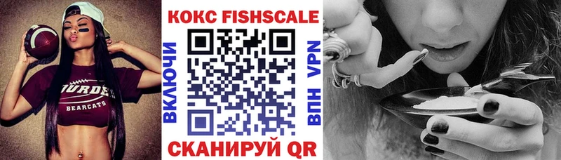 Cocaine FishScale  продажа наркотиков  Нерчинск 