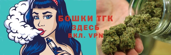 сатива Абаза