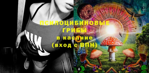 сатива Абаза
