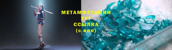 прущие грибы Приозерск