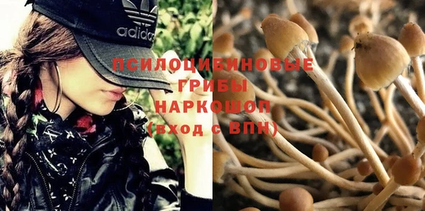 сатива Абаза