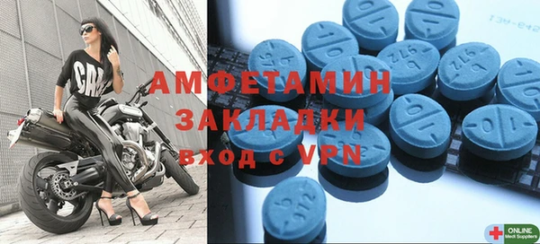 шишки Инта