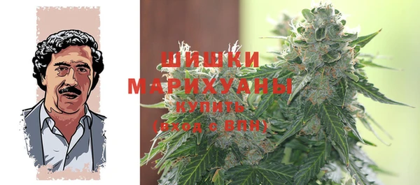 сатива Иннополис