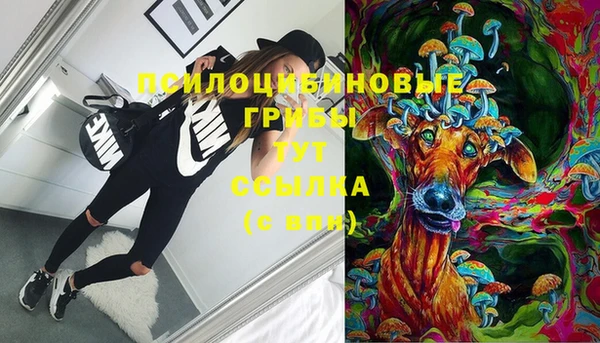 MDMA Инсар