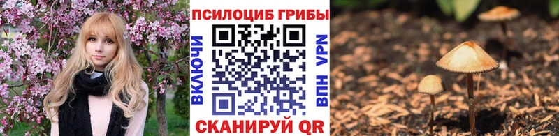 Галлюциногенные грибы Psilocybine cubensis Нерчинск