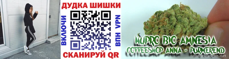 Бошки Шишки планчик Нерчинск